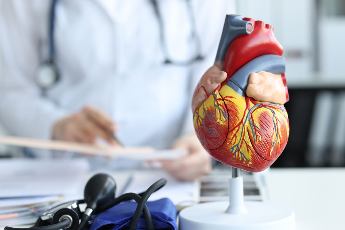Check-Up para Atividade Física