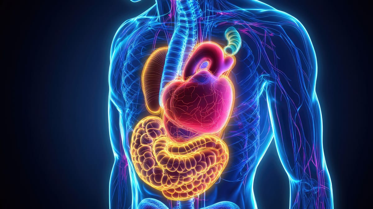 Cirurgias de Fígado, Pâncreas e Vias Biliares