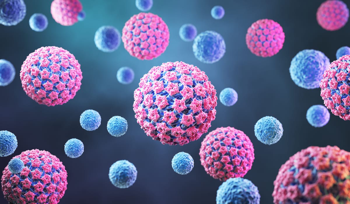 HPV (Papilomavírus Humano)
