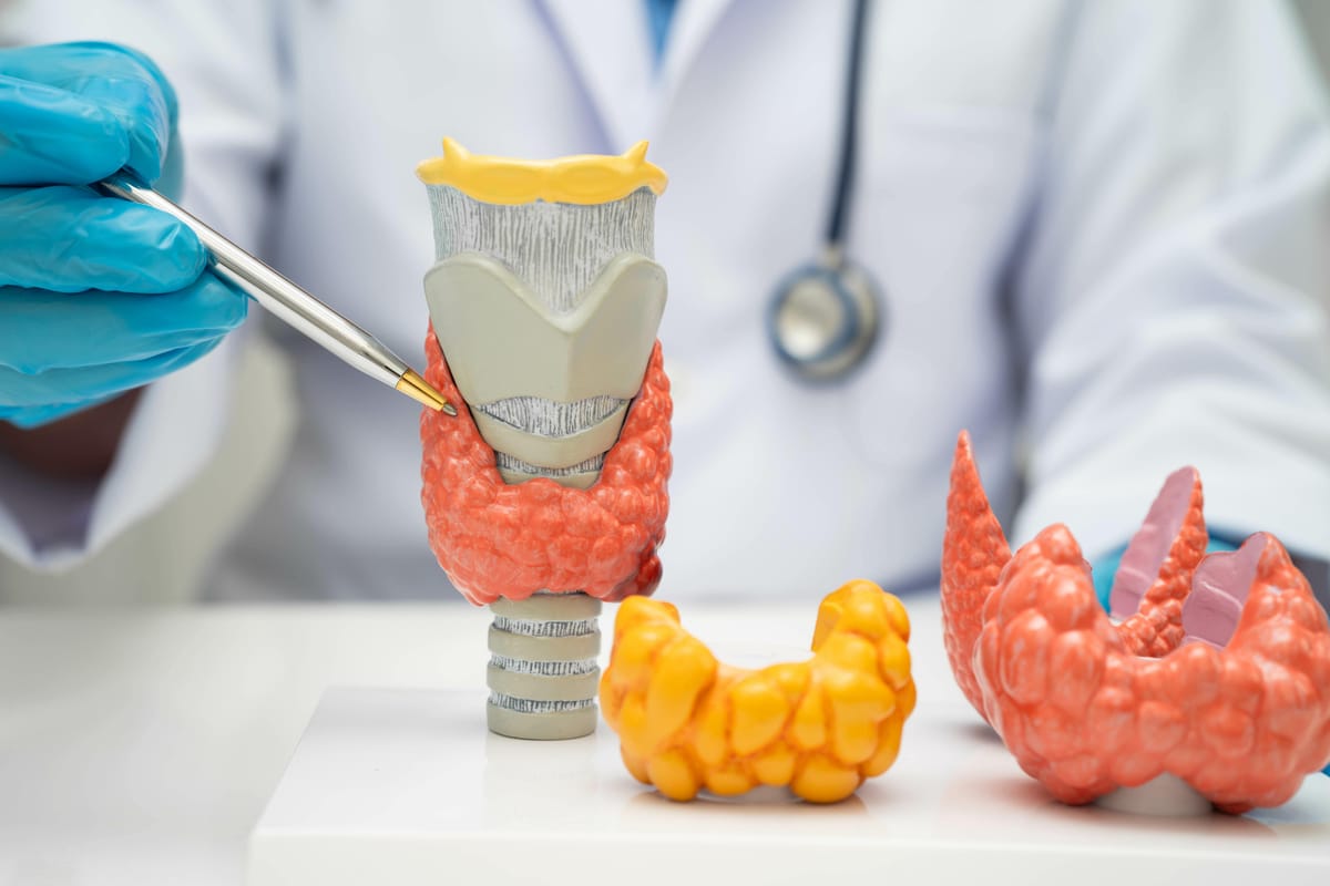 Endocrinologia e Metabologia